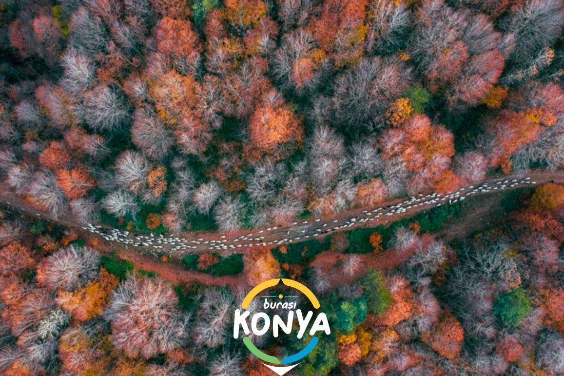 what-do-konyas/November2024/3-10-Mayıs-Yol-ve-Yolculuk-Etkinlikleri11.jpg